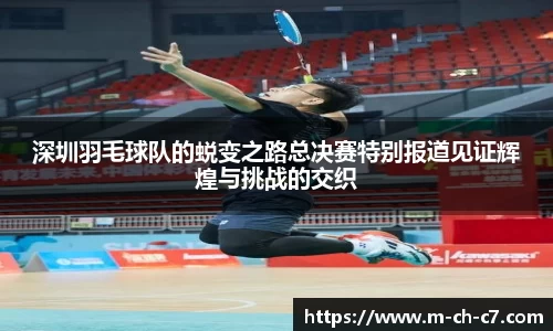 深圳羽毛球队的蜕变之路总决赛特别报道见证辉煌与挑战的交织